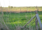 Picture 016